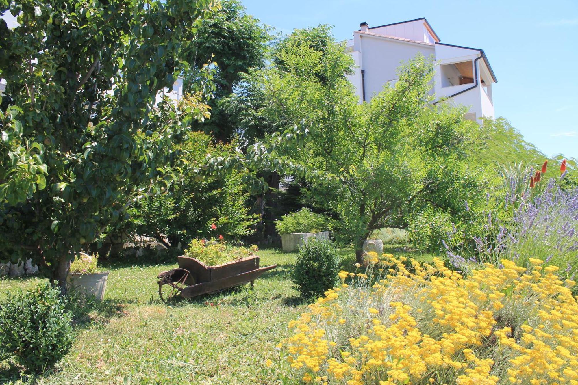 Apartments 501 - Rab Island Oasis Retreat Супетарська Драґа Екстер'єр фото