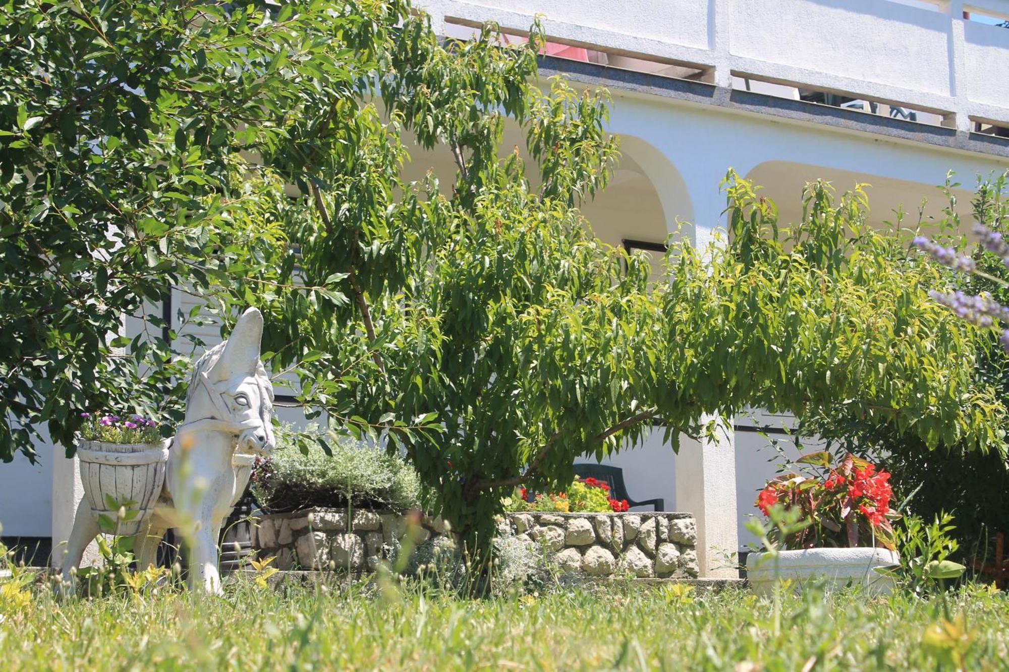Apartments 501 - Rab Island Oasis Retreat Супетарська Драґа Екстер'єр фото